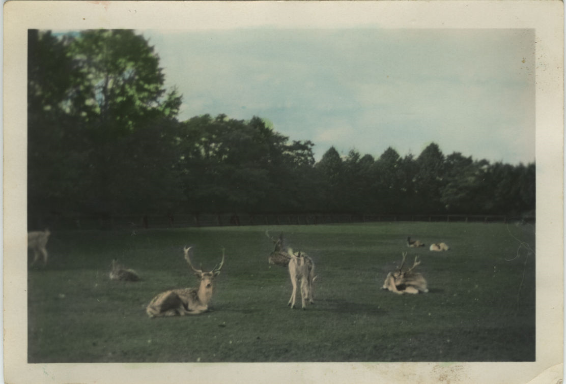 00052_XWA_Boeremapark.jpg