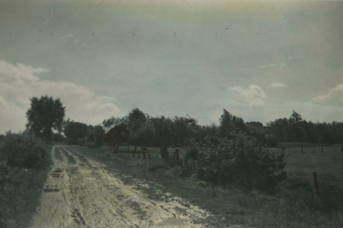 Hendrik Smid en het Wolterslaantje