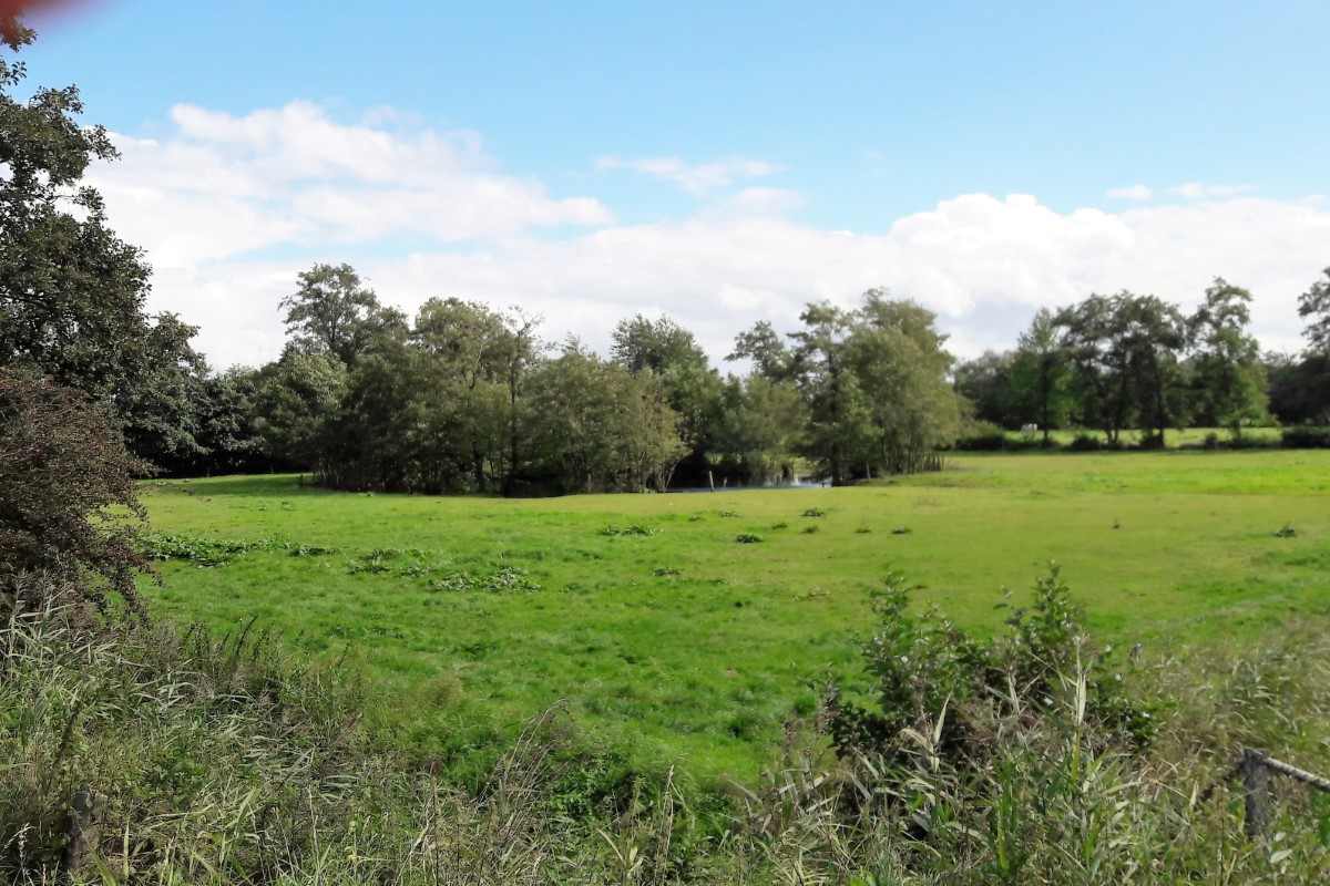 Verdwenen landhuizen en bloedzuigers