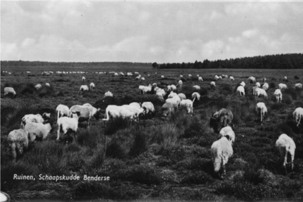 Smeekbede uit Ruinen