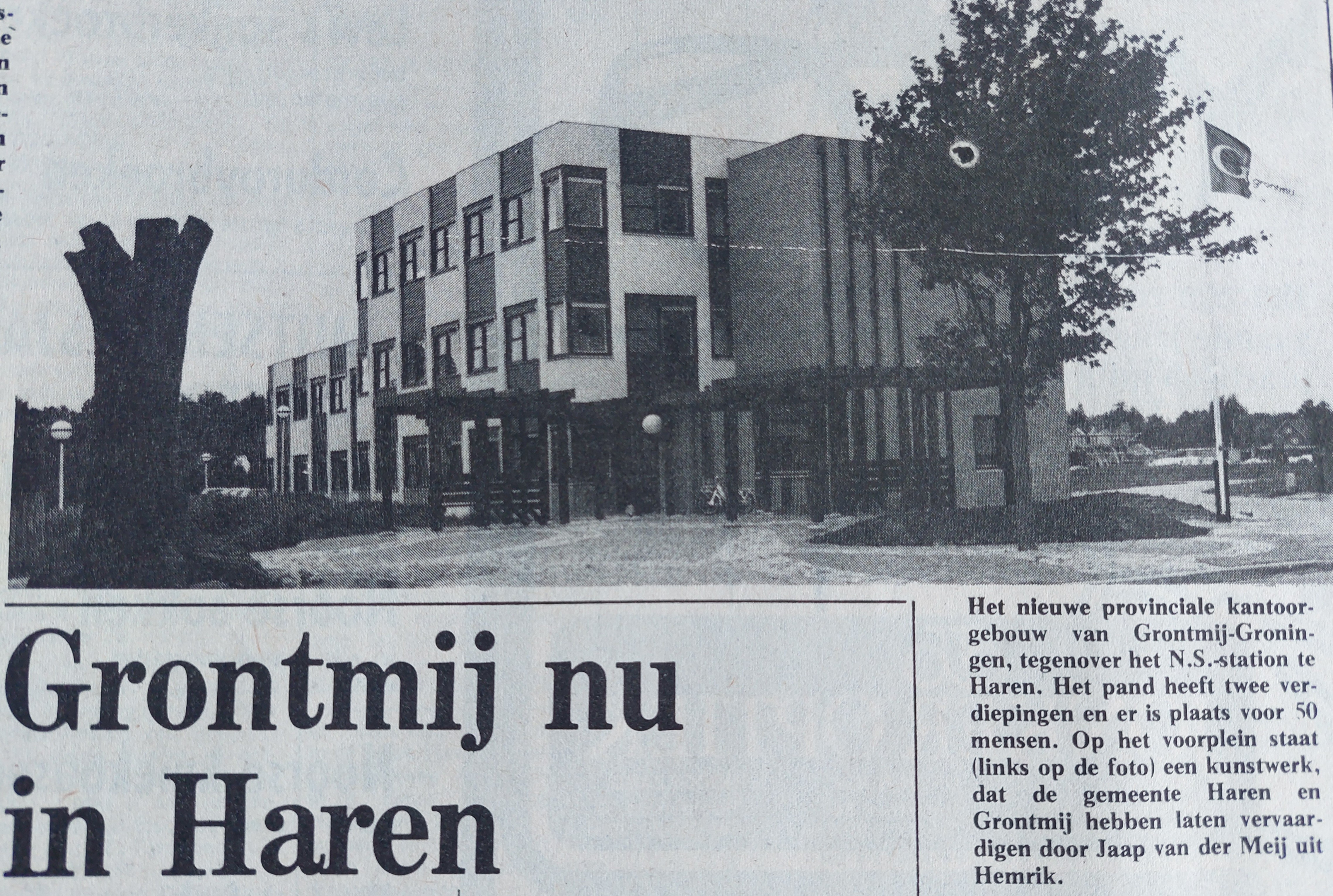 knotwilg krant.jpg aangepast