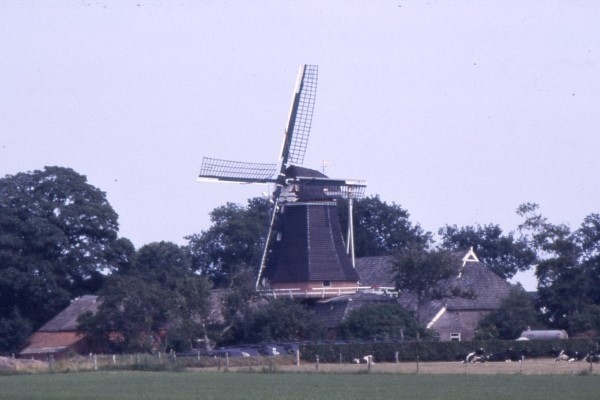 Monument van de Week, Molen De Korenschoof Noordlaren